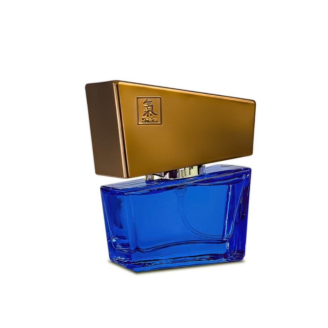 Hot Pheromon Geur - Man Darkblue - 15 ml (4042342006308)