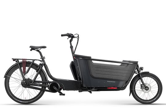 Batavus FIER-2 (2W) ENVIOLO (8713568470070)