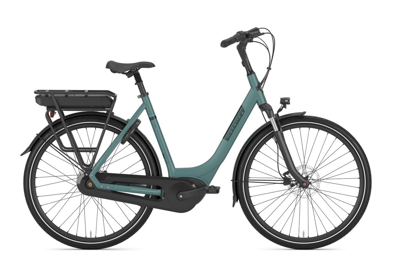 Gazelle PARIS C8 HMB DISC L49 Thyme green R8S (M) (8717231368428)